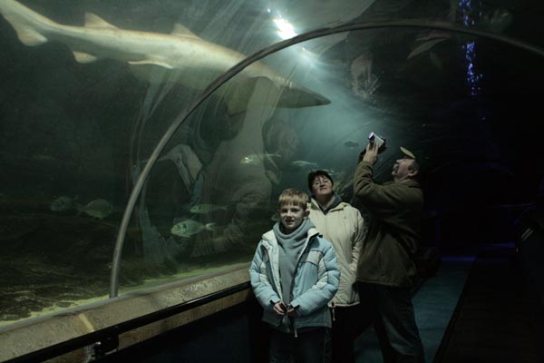 deep sea world,edinburgh 103.jpg